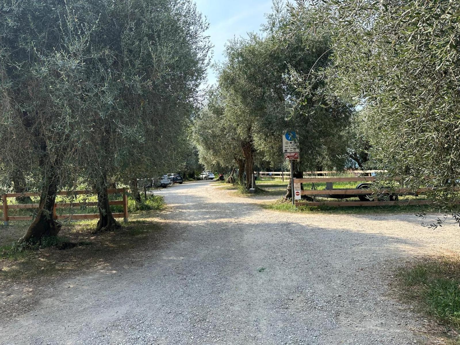 Torbole Aparthotel Torbole Sul Garda Eksteriør bilde